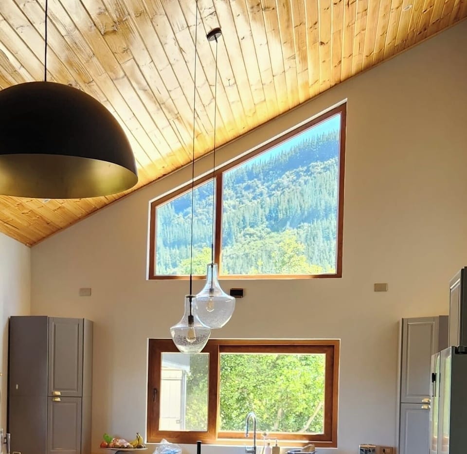 Kitchen  with High ceiling  and view to the forest 