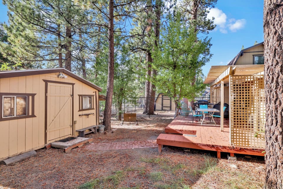 Private outdoor backyard with a BBQ, surrounded by tall pines, perfect for relaxing under the trees after a day of adventure—enjoy peaceful forest views, fresh air, and a truly rejuvenating stay.