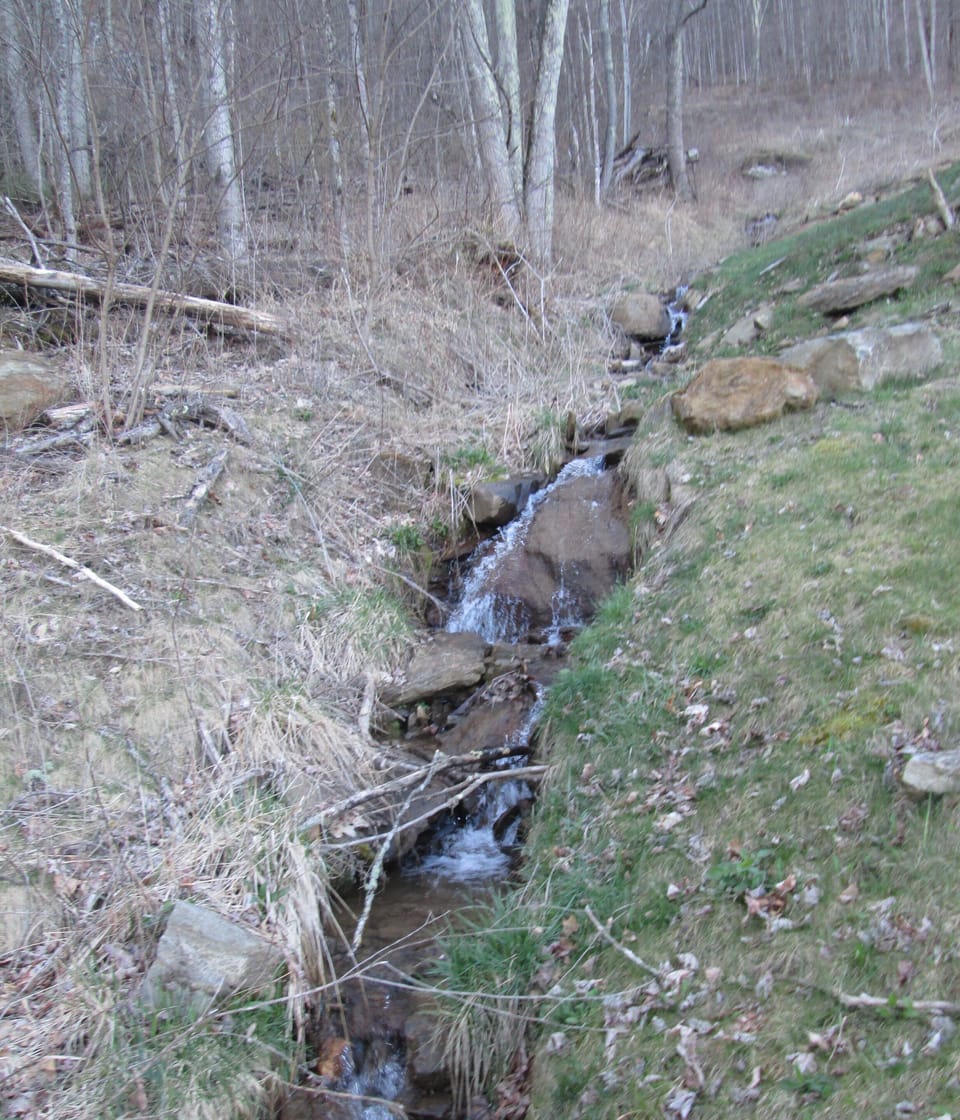 running creek on property