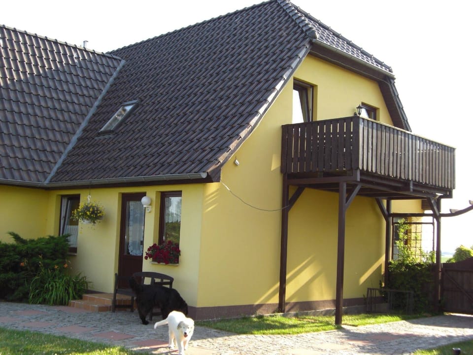 Entrance / Reception