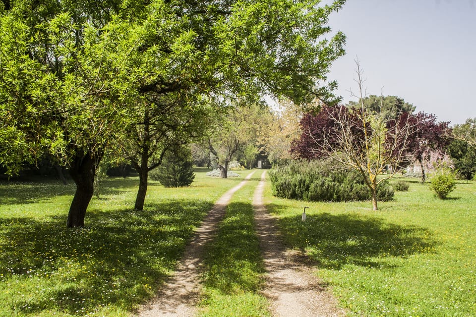 Discover the garden