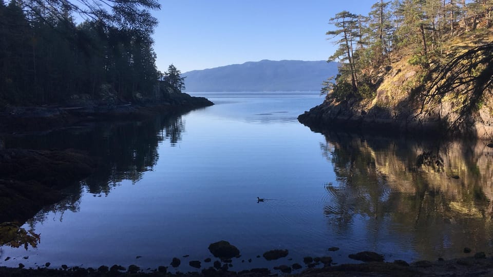 Francis Point secluded inlet with small beach area to relax at low-tide. 
