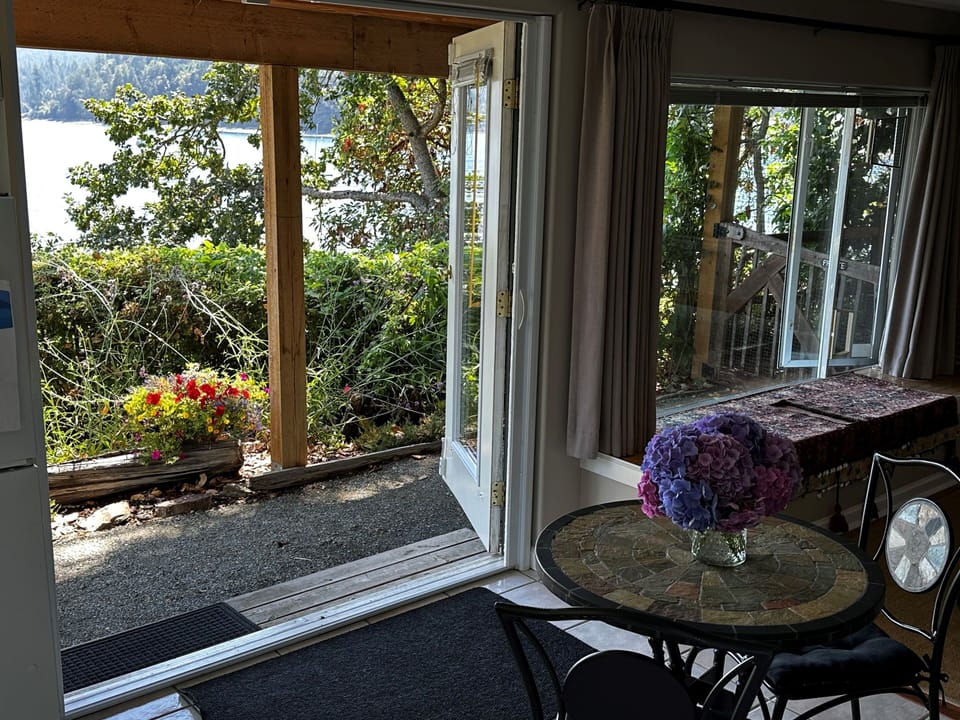 looking through suite patio doors