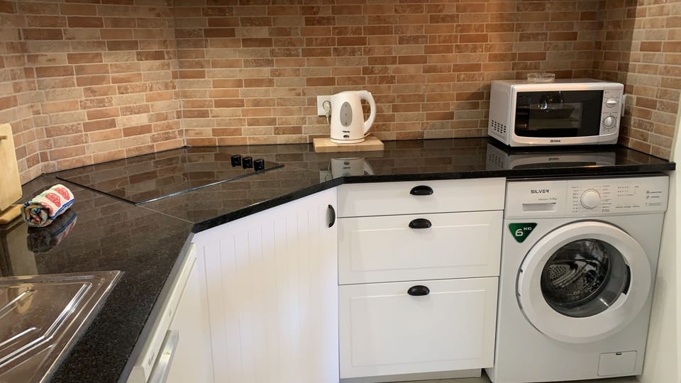 Kitchenette with microwave, washing machine, refrigerator 