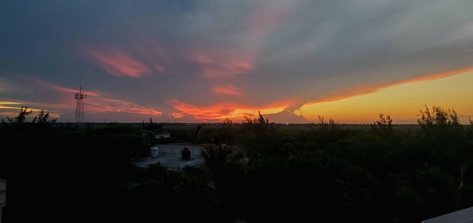 Amazing sunset over the mangrove, enjoy  it every day from our rooftop! 