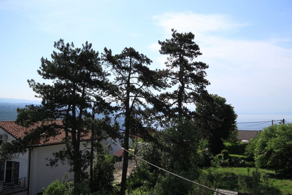Nearby beaches