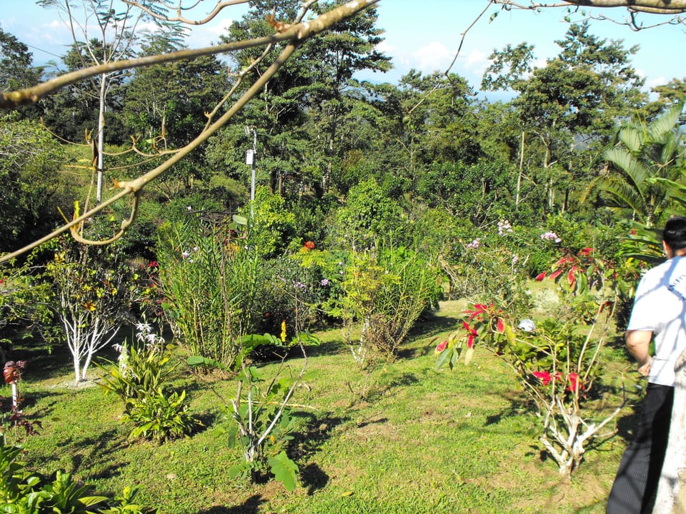 More flower garden.