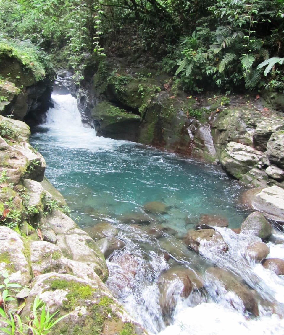 Swimming in the Hidalgo River, 600m from cabin.