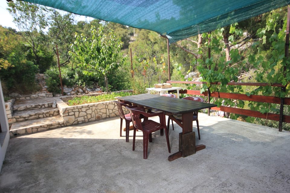 Terrace 2