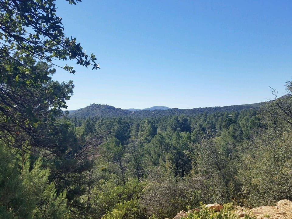 Country Club forms a loop around hilltop. Take a walk & enjoy the views!