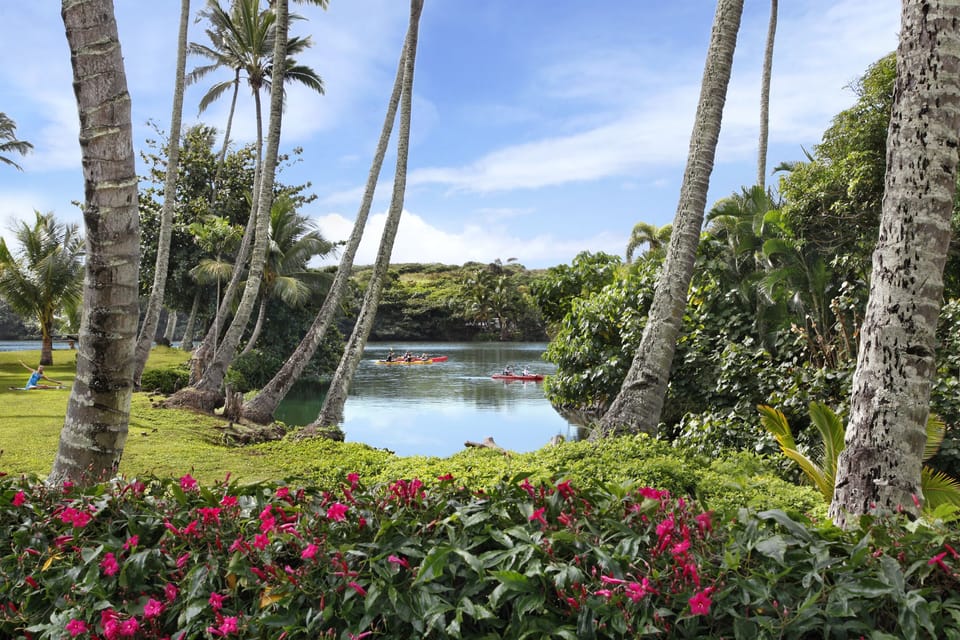 View of Wailua River from our kitchen.