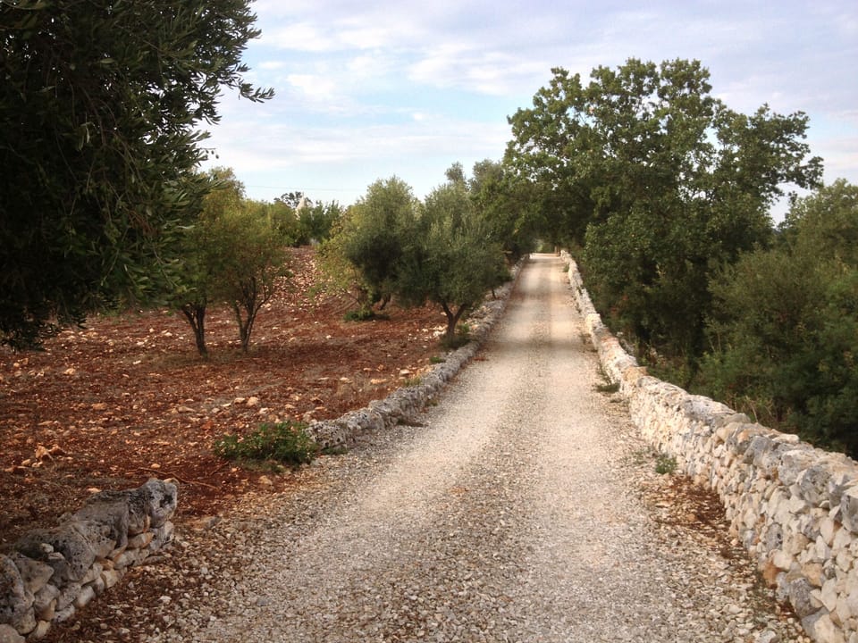 Our Private drive...to the trullo 

