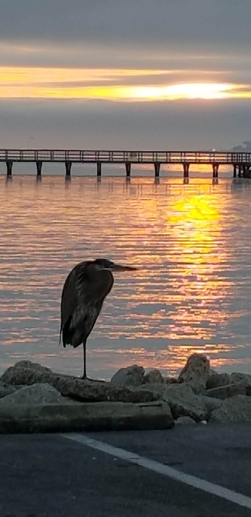 At the harbor