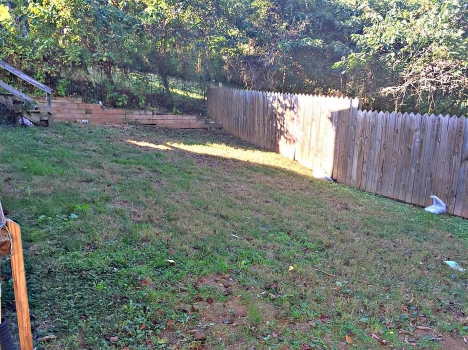 Fenced in yard--our place is pet friendly!