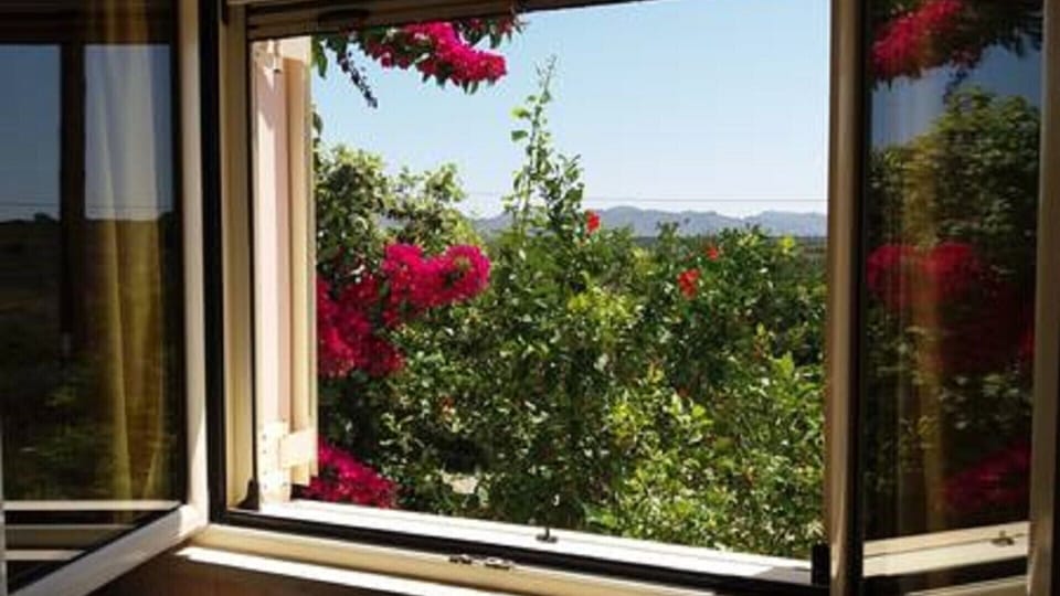 view from kitchen