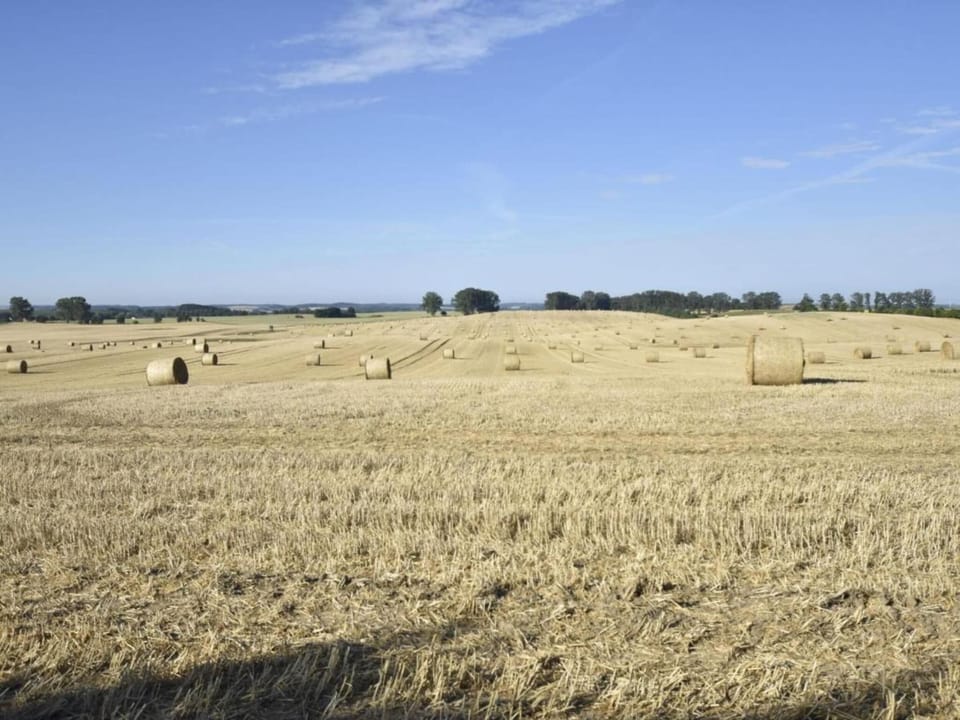 Region [summer] (>5 km)