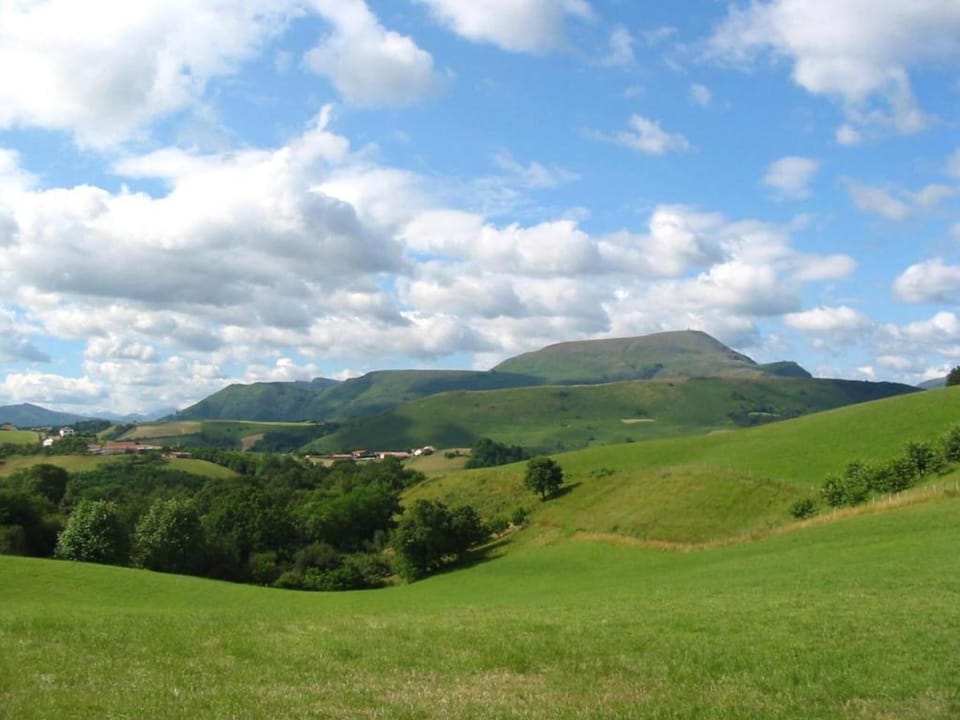 Region [summer] (>5 km)