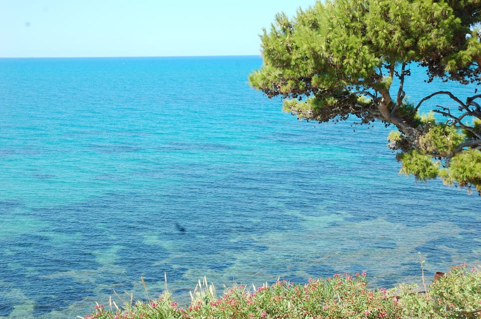 Wonderful sea under the Villa. Private path to the beach