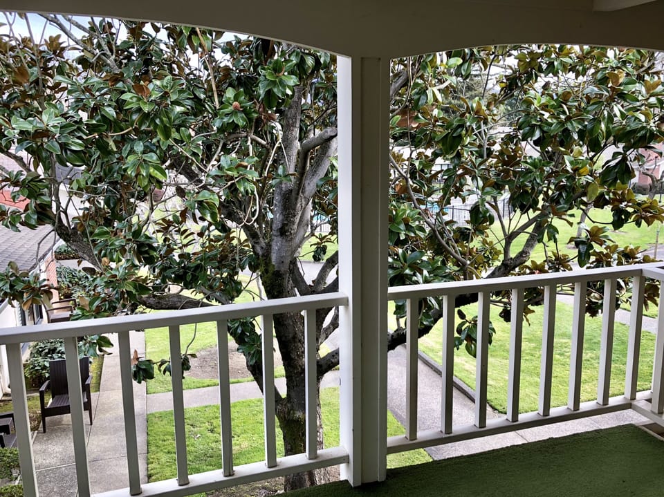 Private Secluded Porch to Enjoy the Outdoors and Relax.