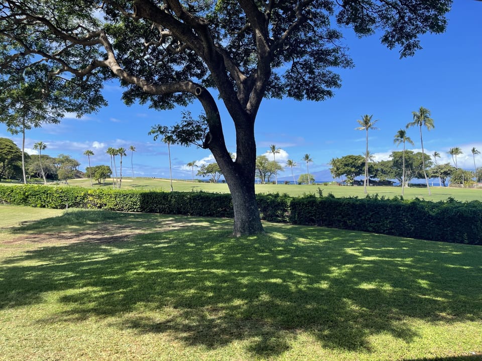 golf course ocean view