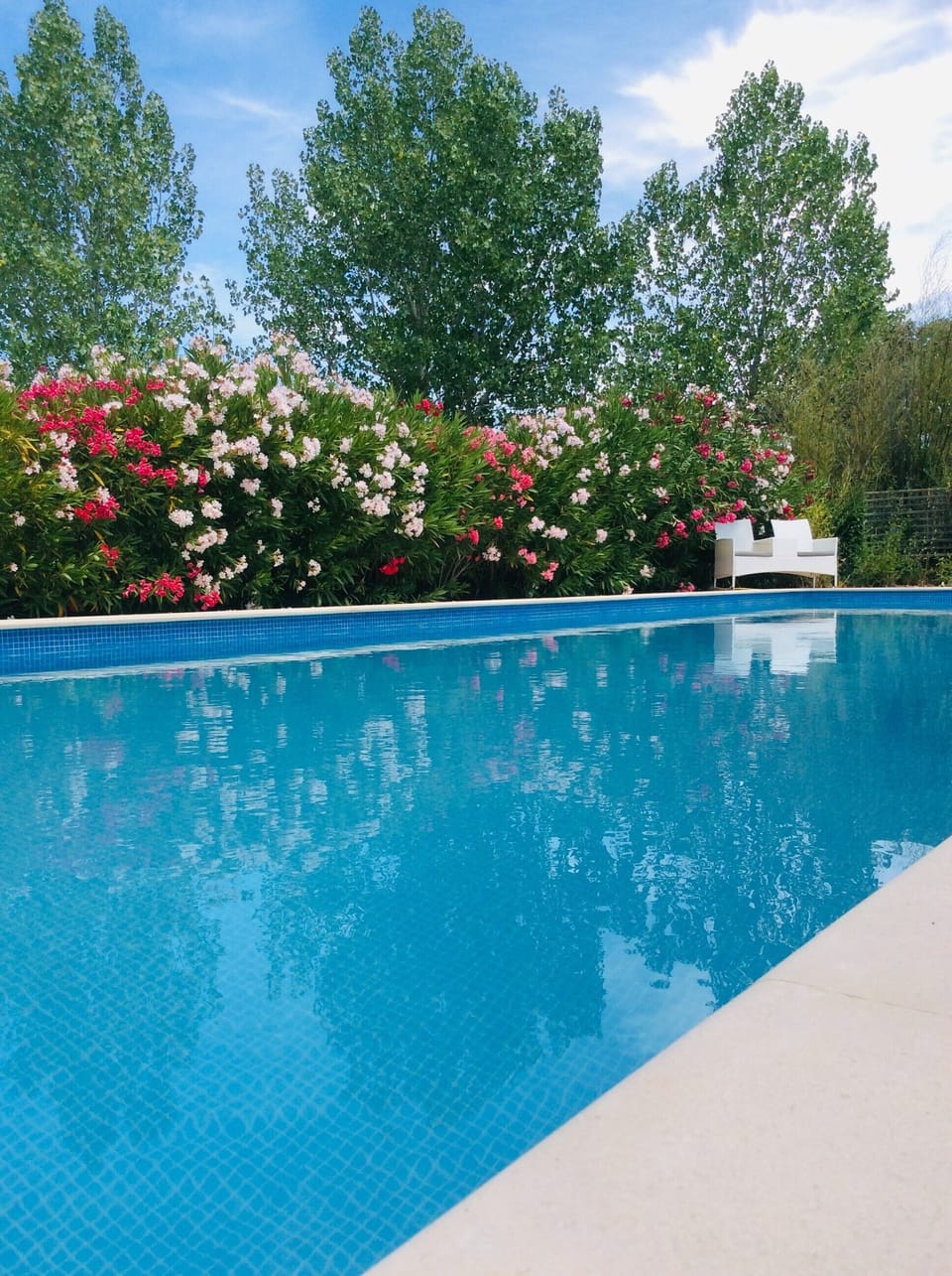 Luxurious pool