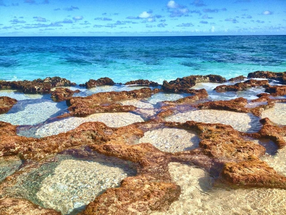 Explore these tidepools nearby!  Great for kids! 