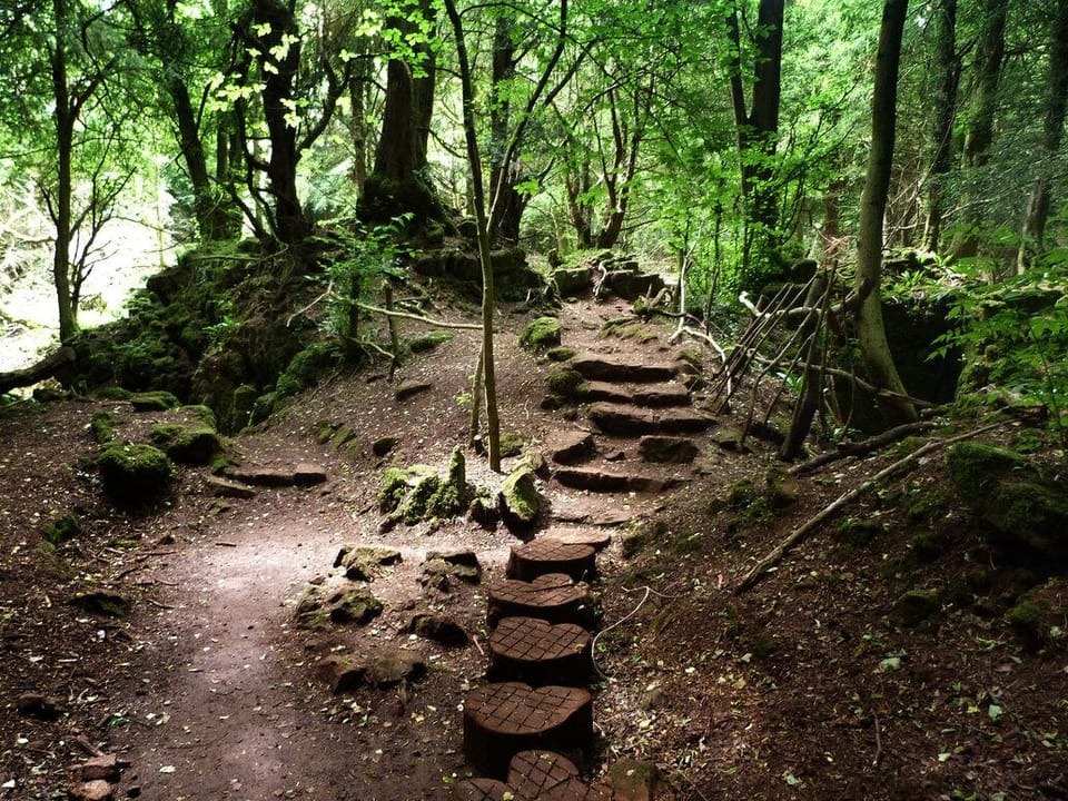 Puzzlewood