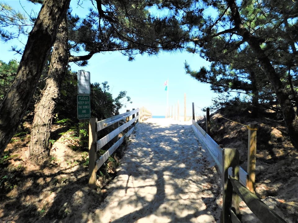19 Addy Road - Scenic Path to Private Beach - Experience the beauty of the Delaware coast as you walk through the shaded dunes toward the ocean. This private community path ensures a peaceful and direct transition from your wooded retreat to the sand.