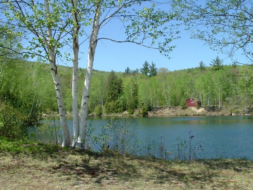 Walk to this pond.  Paddle or Fish