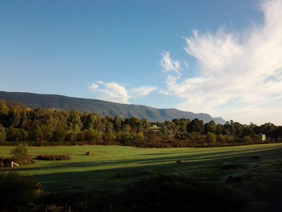 View from cottages