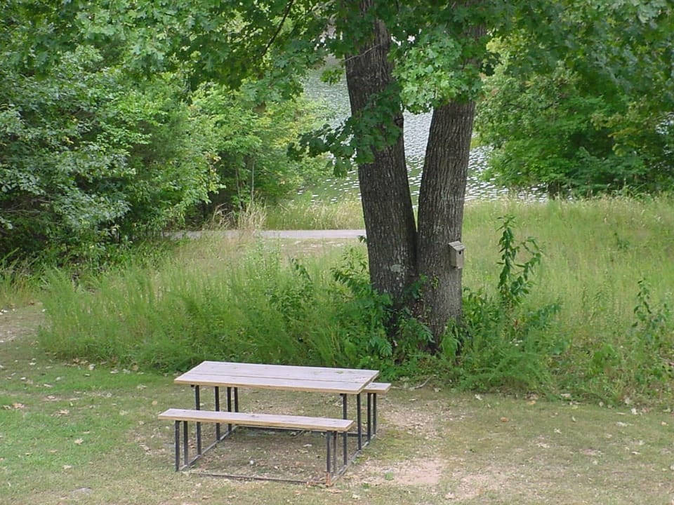 Backyard picnic table
