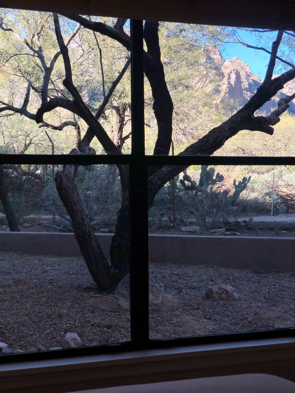 View from large 2nd bedroom window