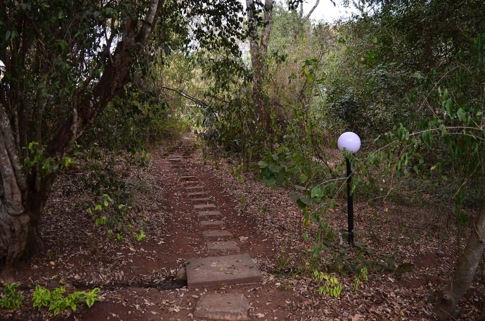 Nature Trail