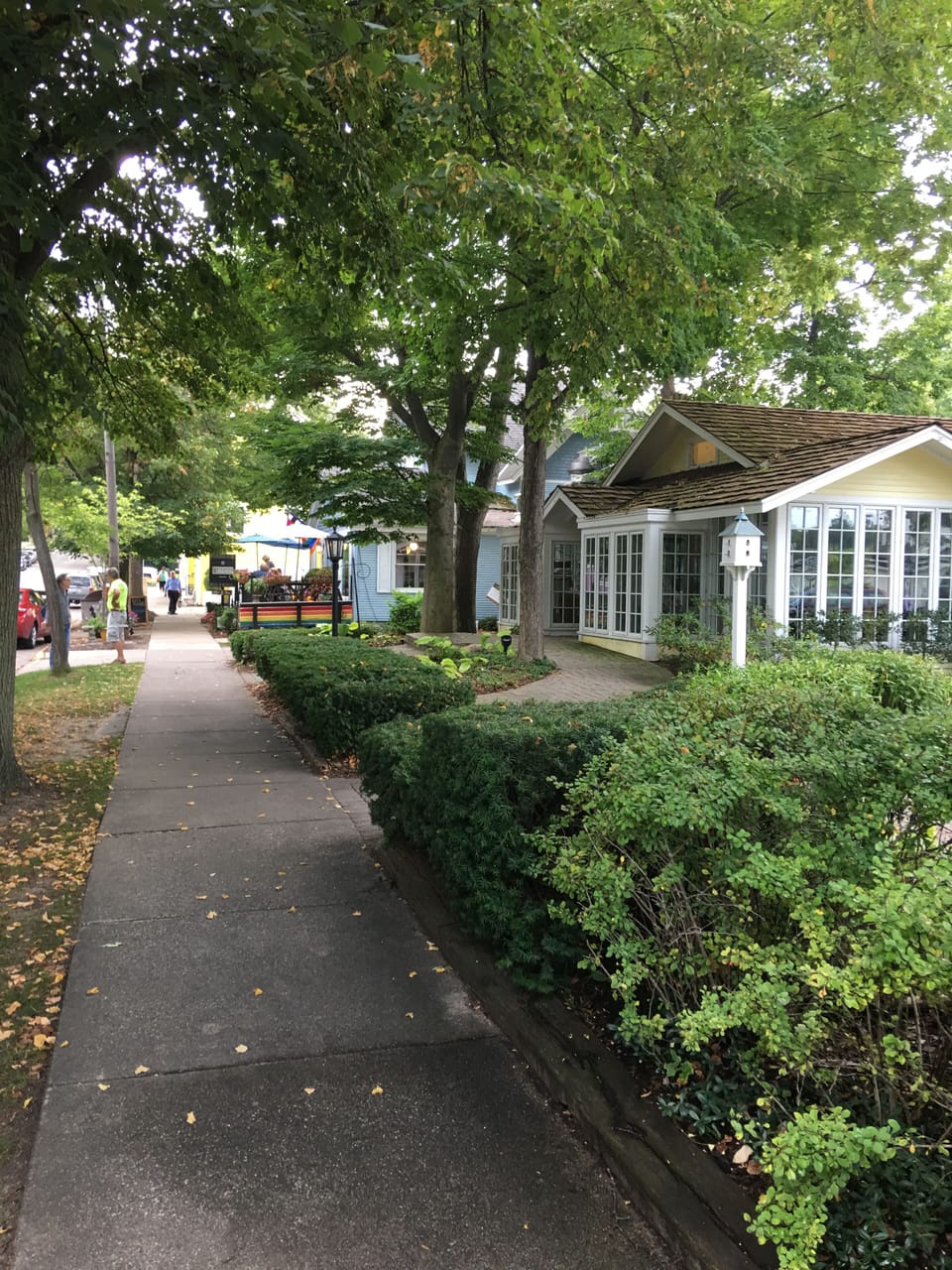 Saugatuck - town
