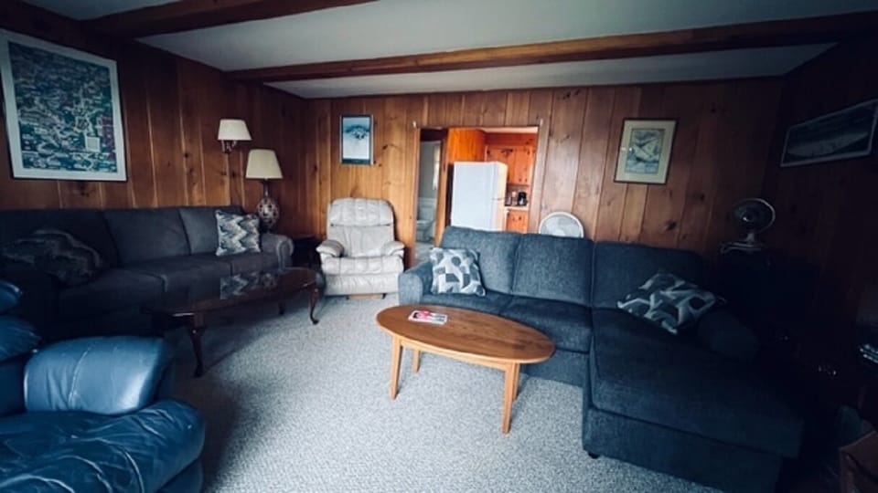 Full view of living room looking into kitchen