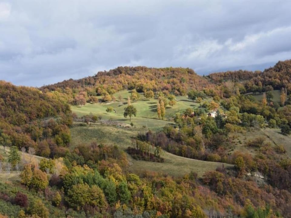 Surroundings [summer] (1-5 km)