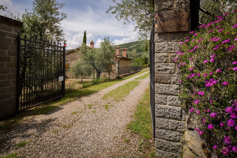 Vegetation, Flower, Spring, Wall, Tree, Grass, Plant, Shrub, House, Botany