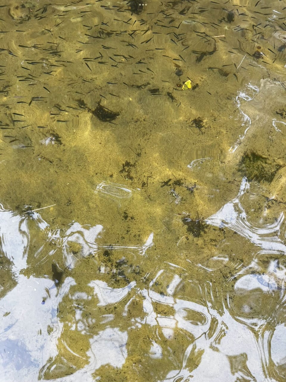 Clear water with sand bottom