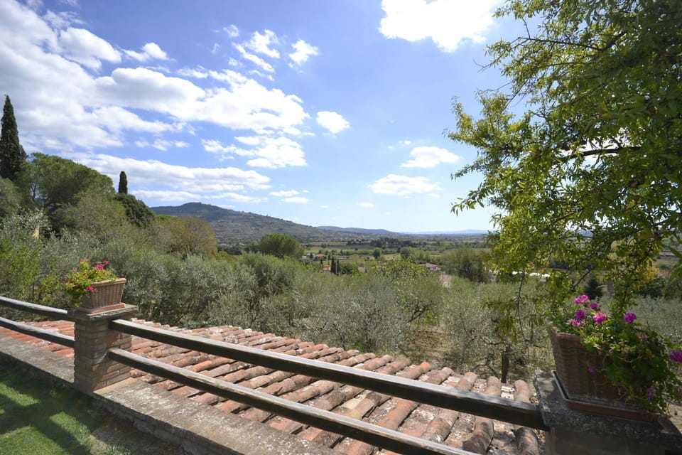 Panoramic view