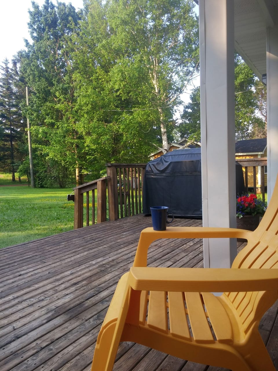 Terrace/patio