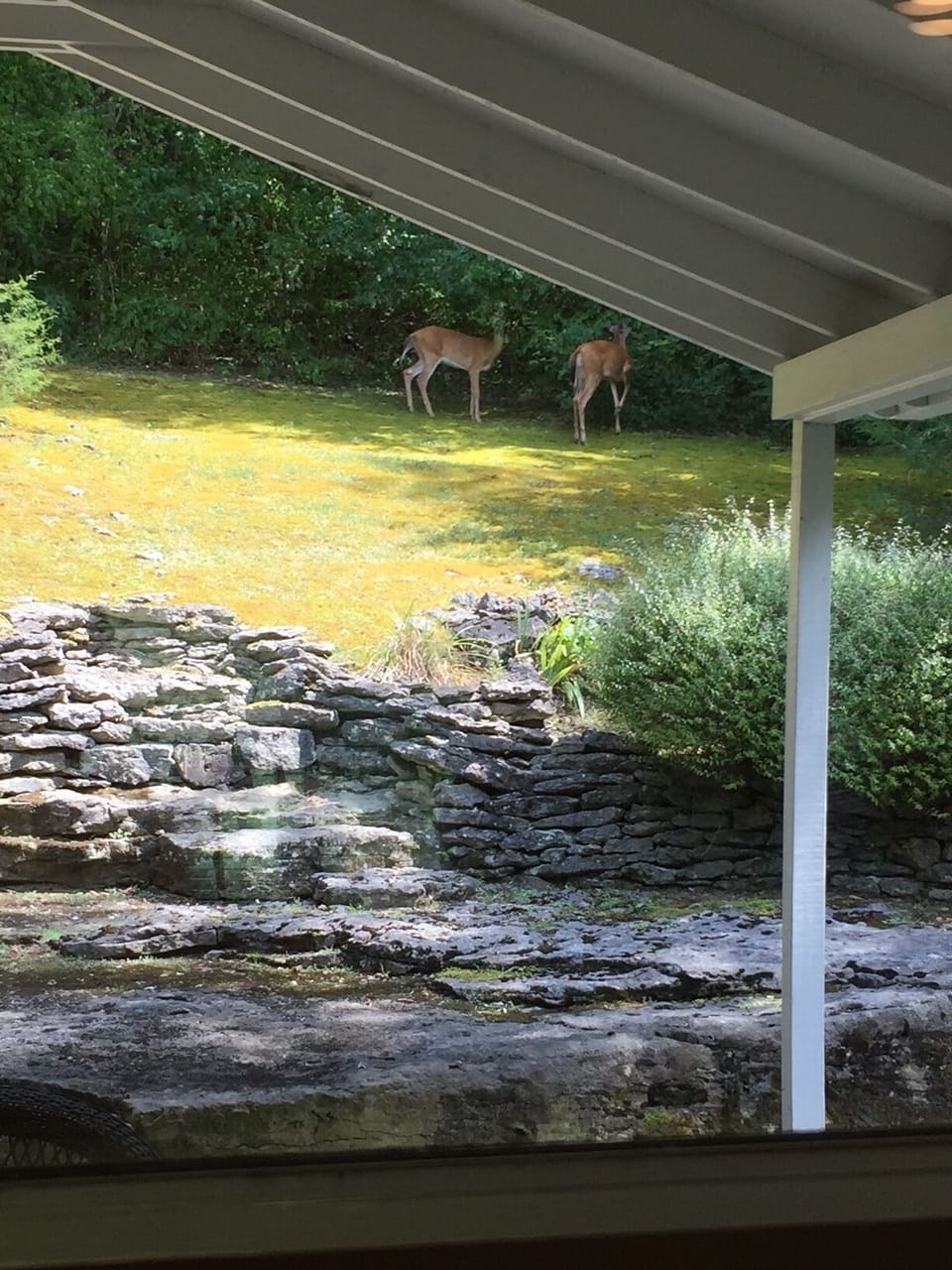 View from property