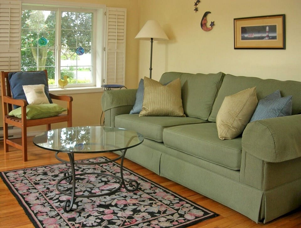 Living room has a pullout sofa that becomes a double bed