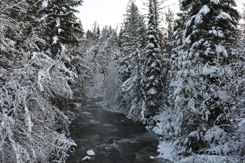 You will cross over Louis Creek along the driveway up to the log house.
