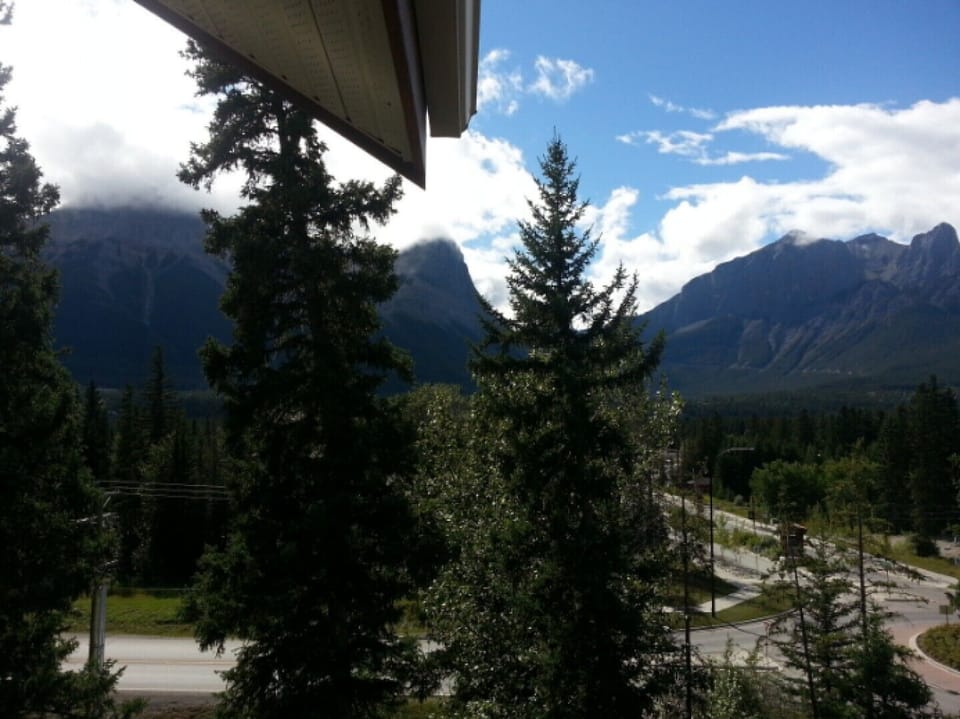 View from Patio