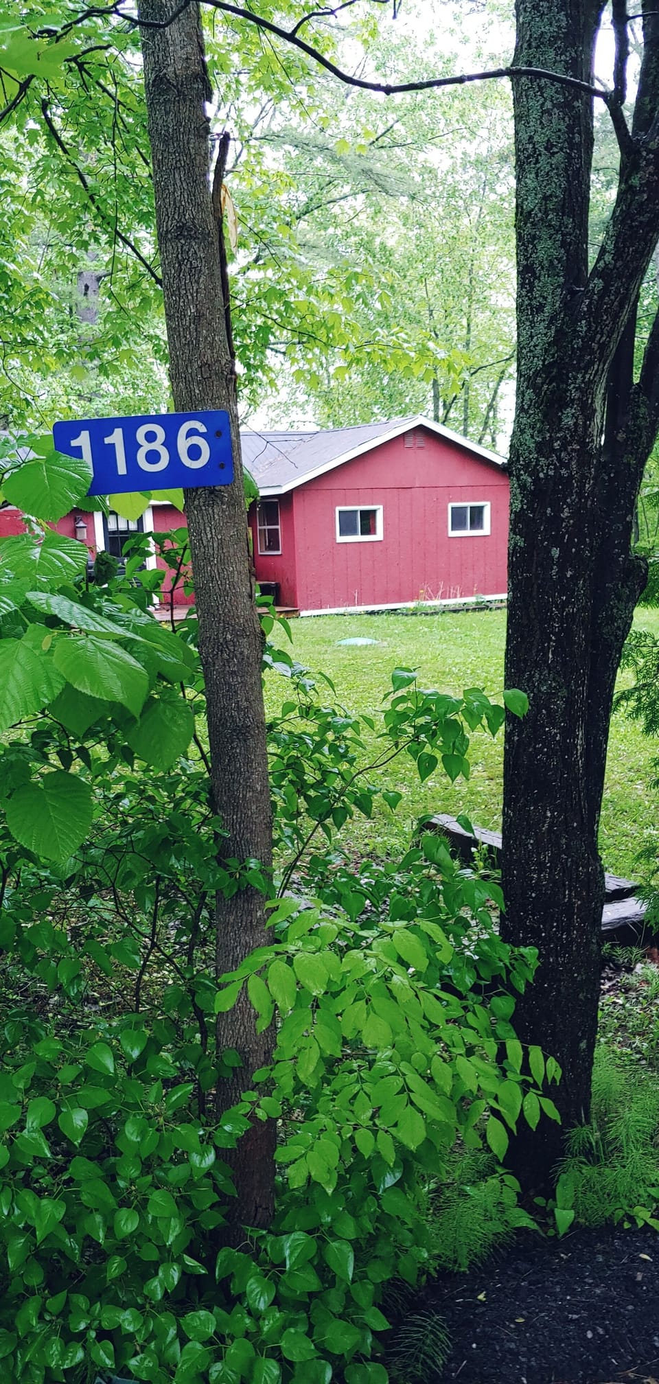 Driveway View of Cottage 