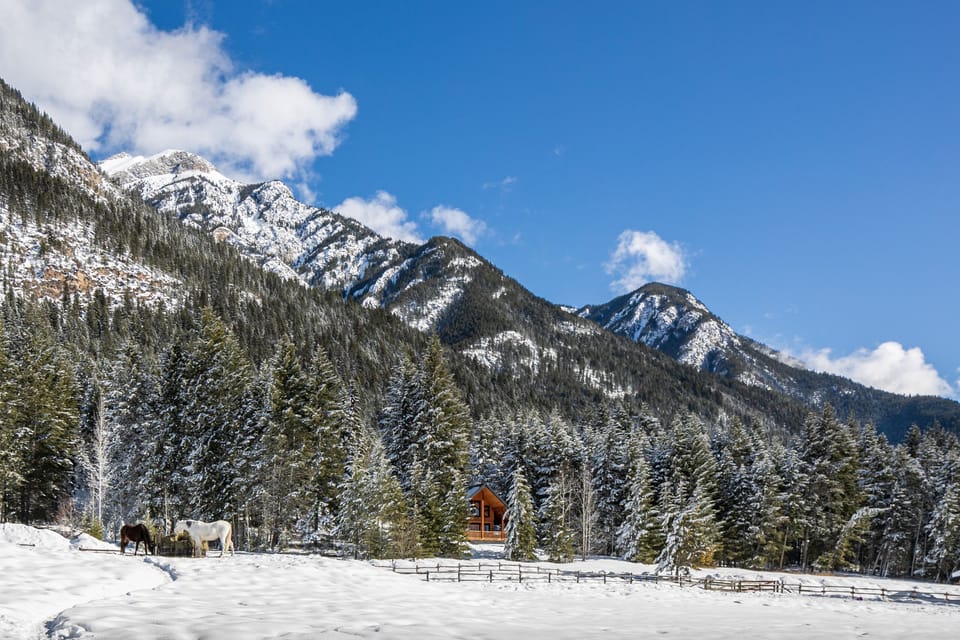 Snow and ski sports