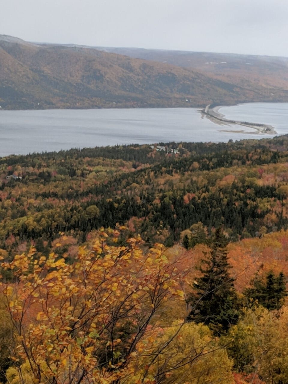 fall looking towards house on kellys' mountain