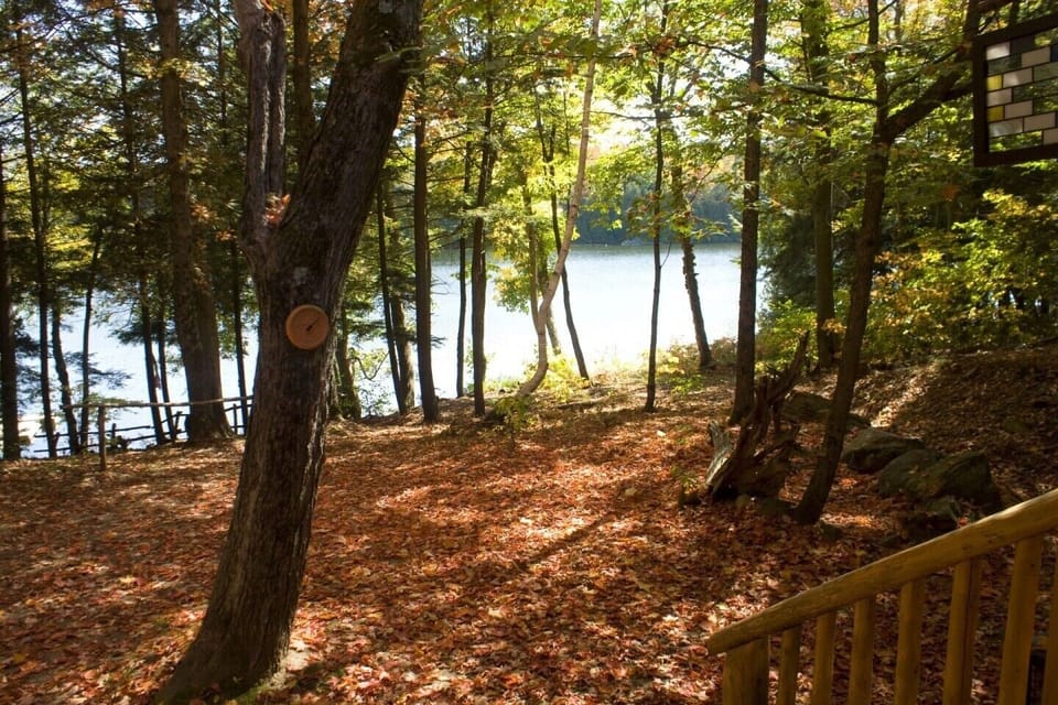 View from the Porch