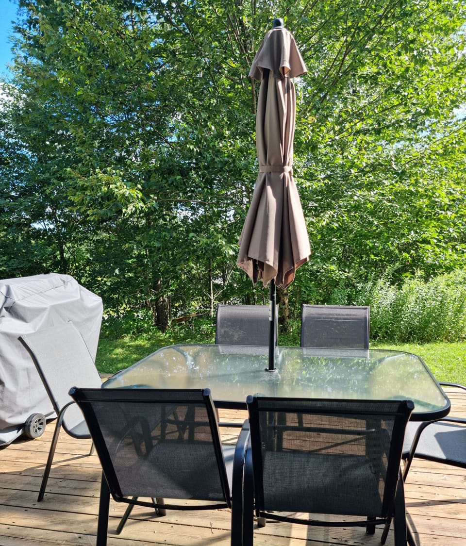 Deck area with BBQ and furniture