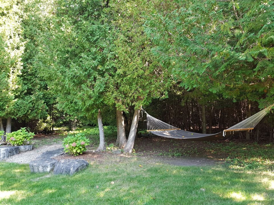 Hammock Relaxation Time